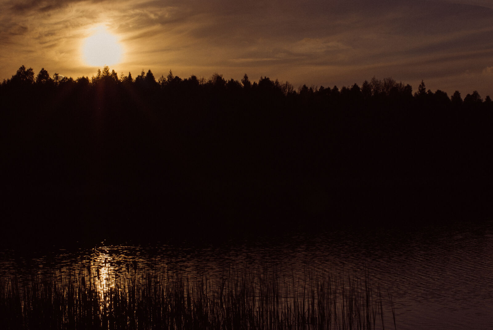 Nikon AF-S Nikkor 50mm F1.4G sample photo. Forrest, jelonki, lake, sunset photography
