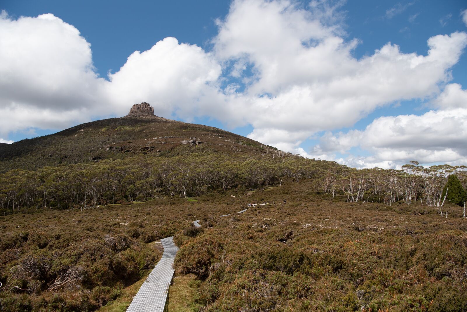 Nikon D750 sample photo. Overland track, tasmania, nature photography