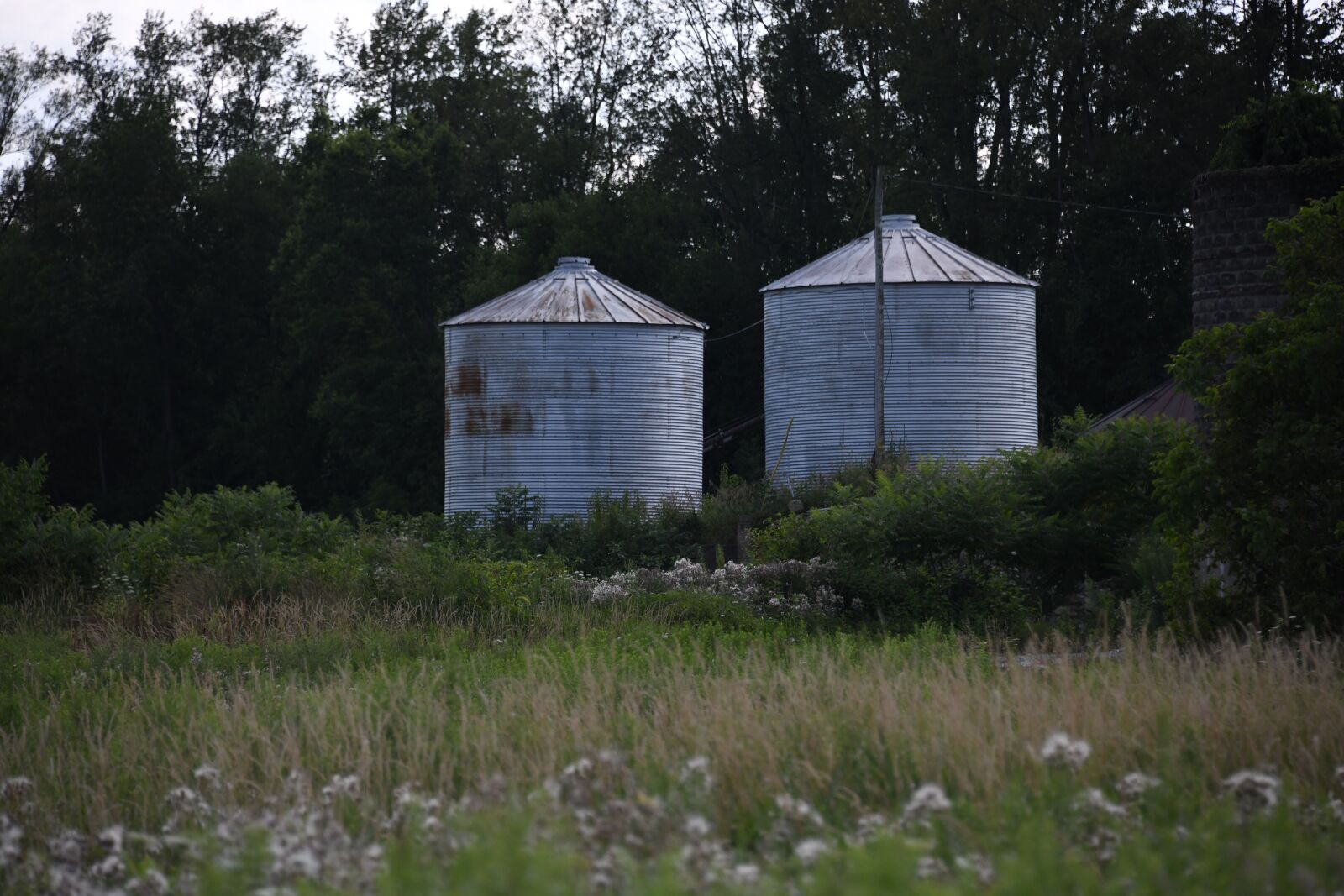Nikon D850 sample photo. Silo, vintage, farm photography