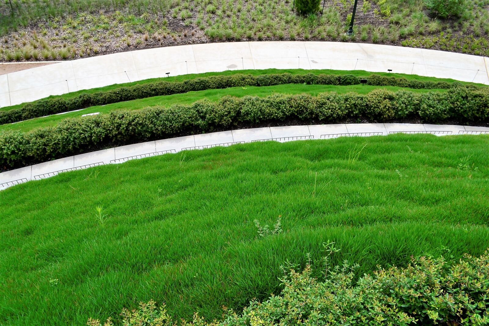 Nikon D3100 sample photo. Botanical garden, houston texas photography