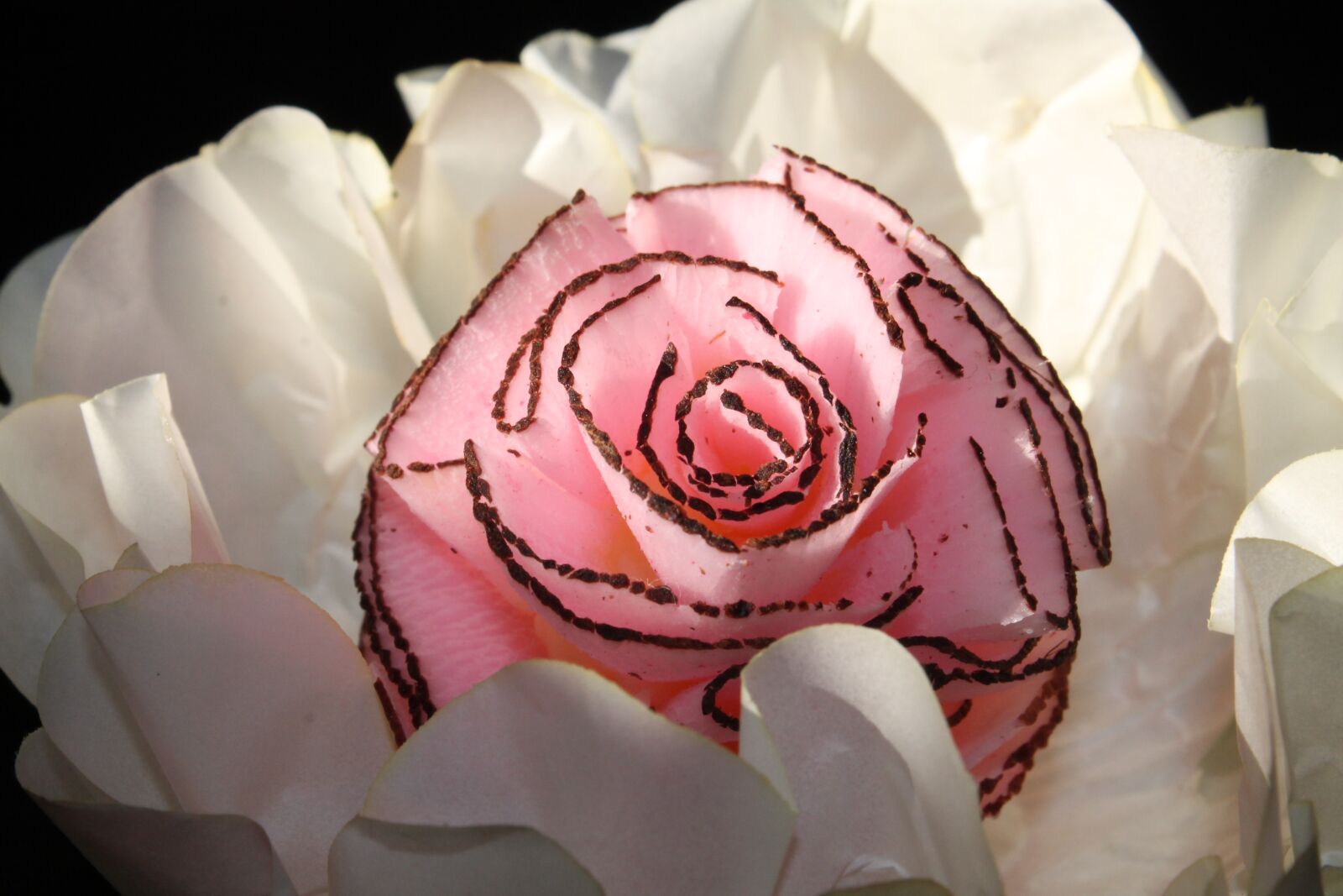 Canon EOS 1100D (EOS Rebel T3 / EOS Kiss X50) sample photo. Rosa, flower, brigadier photography