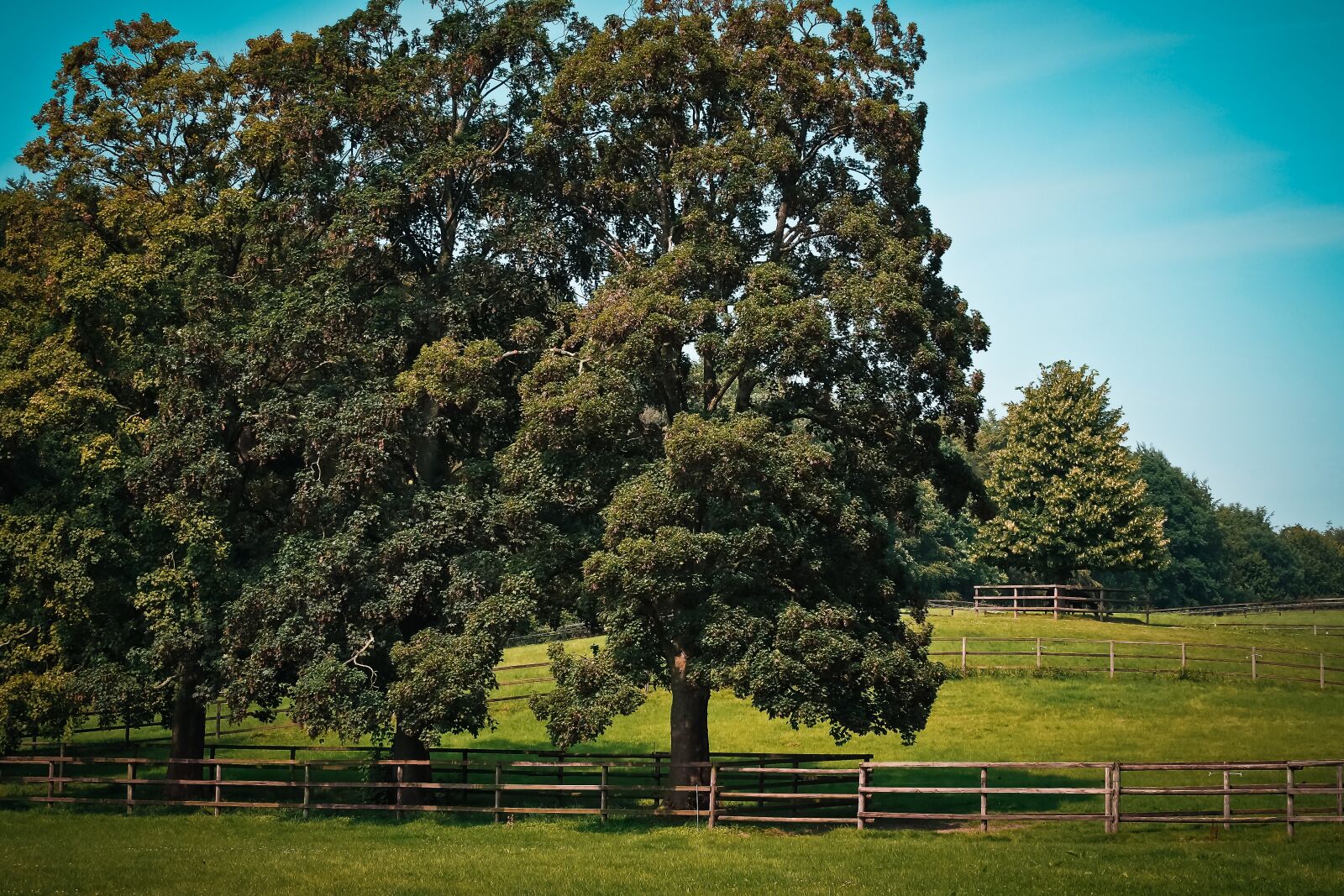 Olympus OM-D E-M10 sample photo. Landscape, nature, landscapes photography