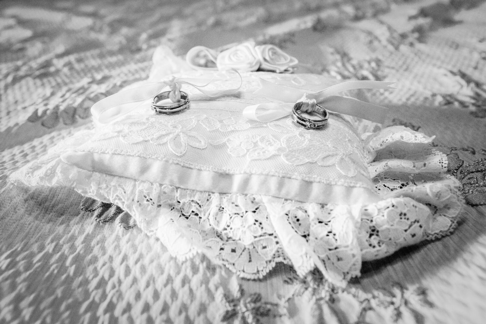 Canon EOS 6D + Canon EF 24-70mm F2.8L USM sample photo. Rings, marriage, pillow photography