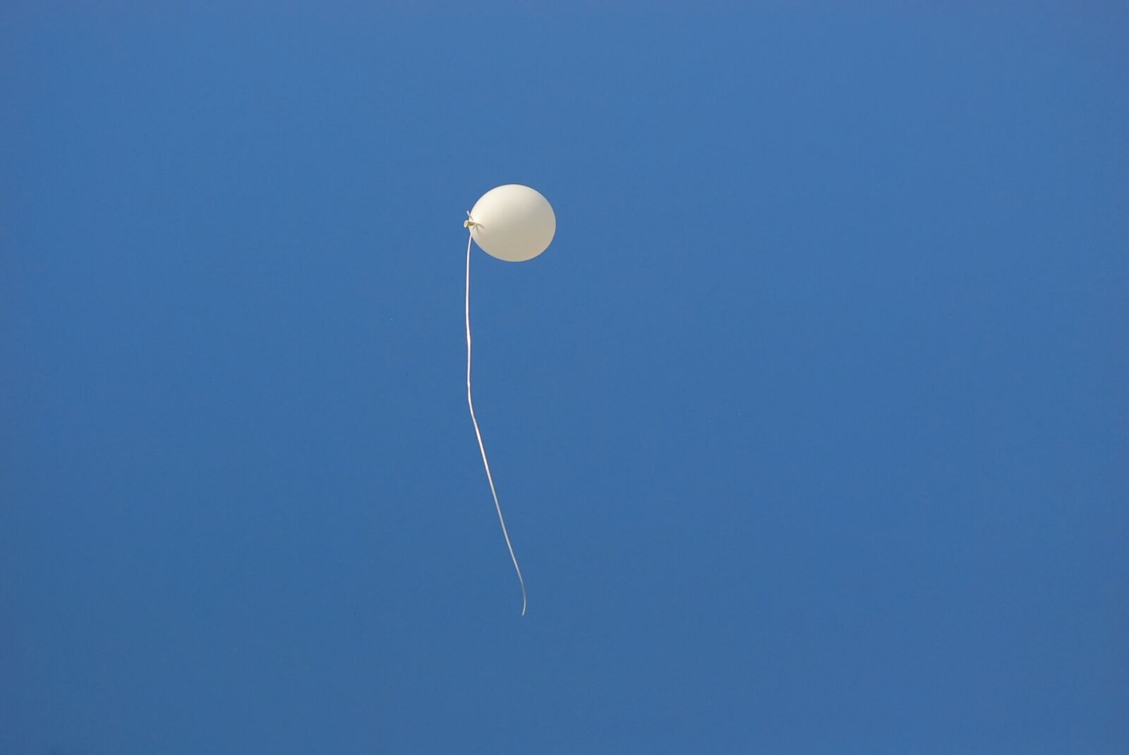 Nikon D80 sample photo. Ballon, white, sky photography