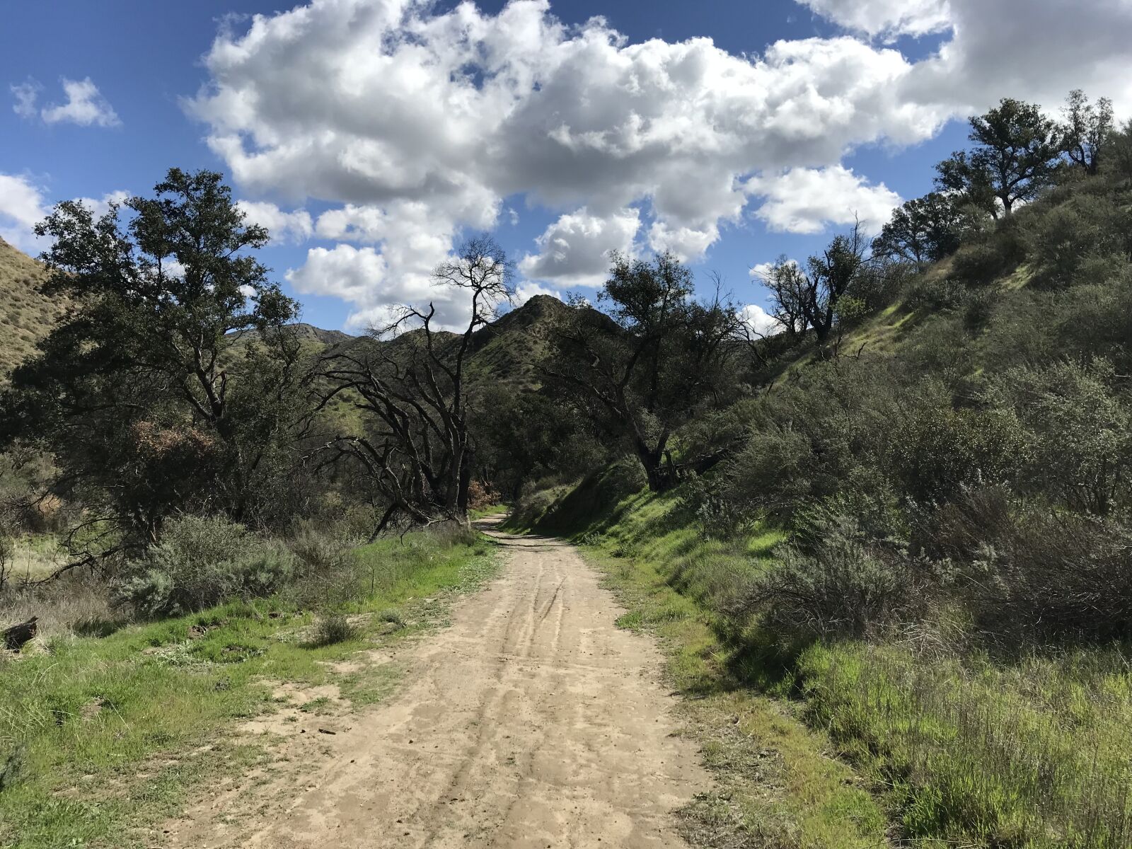 Apple iPhone 7 sample photo. Nature, landscape, hiking photography