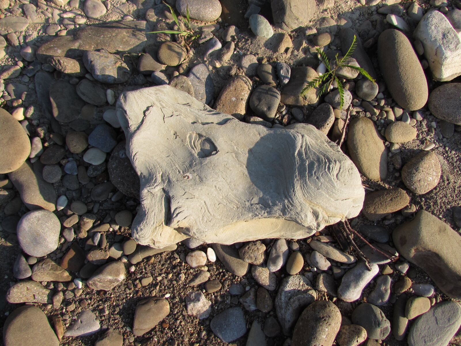 Canon PowerShot SX510 HS sample photo. Stone, horse, pebbles photography