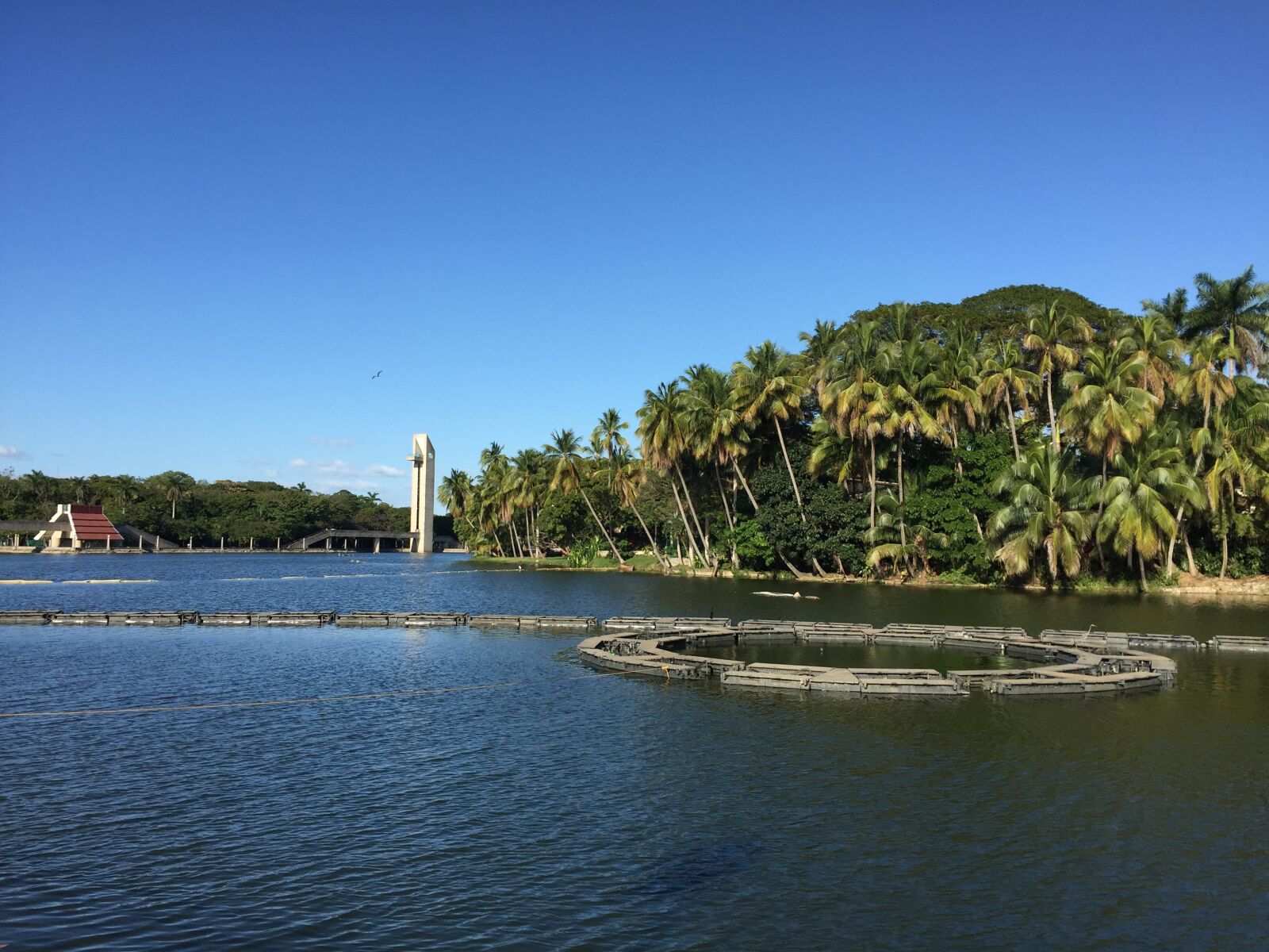 Apple iPhone 6 sample photo. Tomas garrido, parque tabasco photography