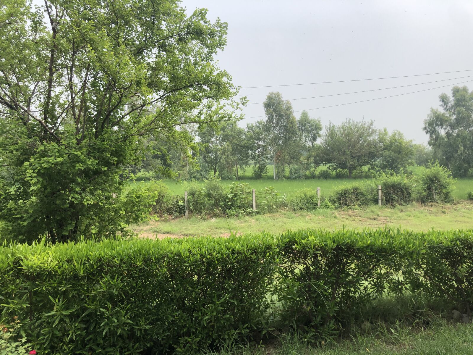 iPhone X back dual camera 4mm f/1.8 sample photo. Greenery, village, charming photography