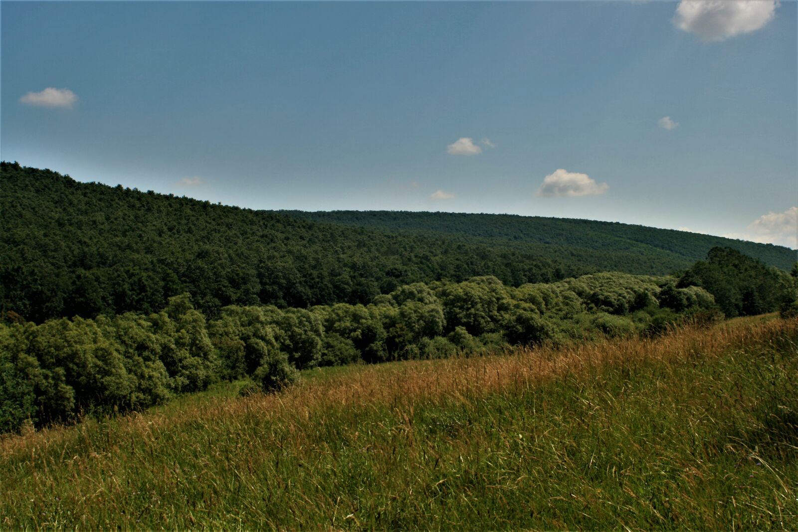 Canon EOS 400D (EOS Digital Rebel XTi / EOS Kiss Digital X) sample photo. Mountain, trees, spring photography