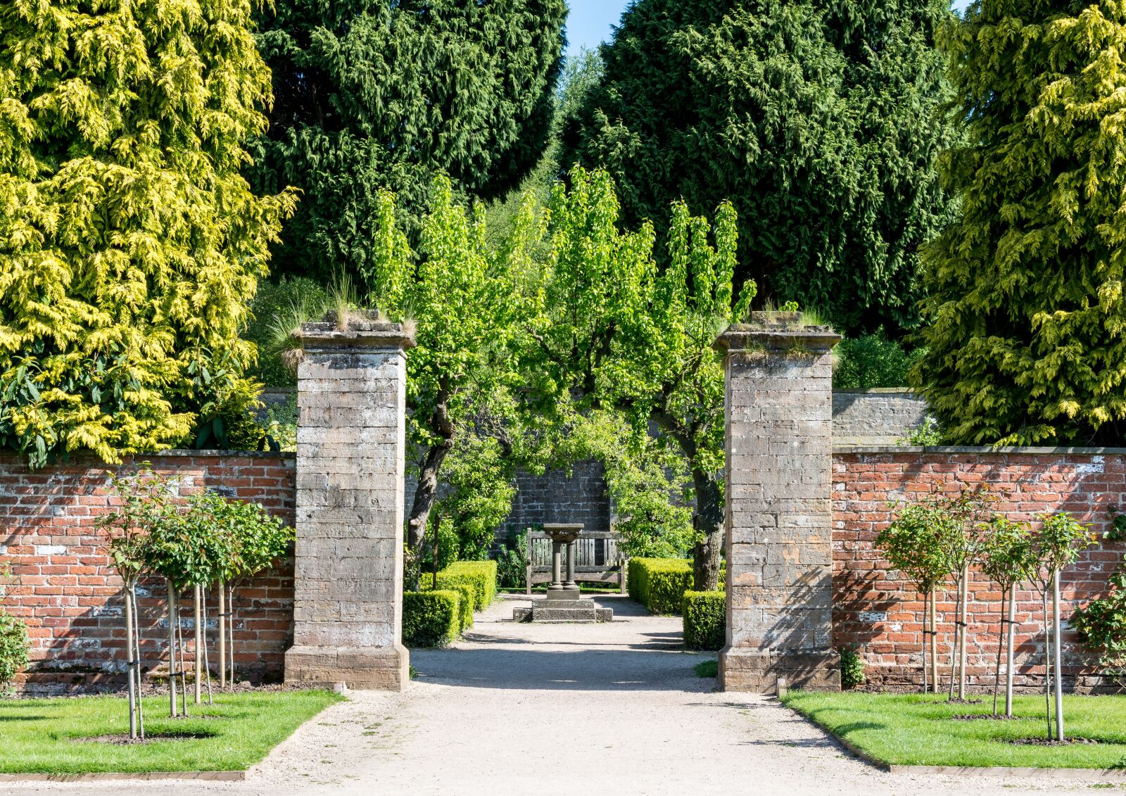 Nikon D7200 sample photo. Stone, entrance, forest photography
