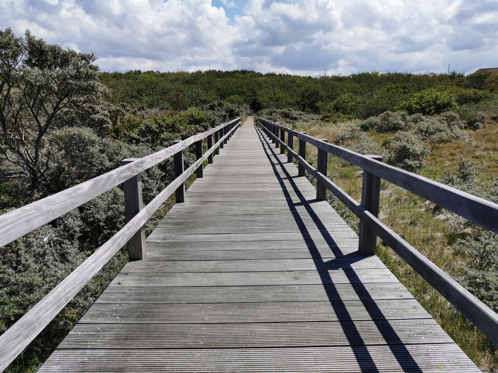 HUAWEI P30 sample photo. Dunes, beach, north sea photography