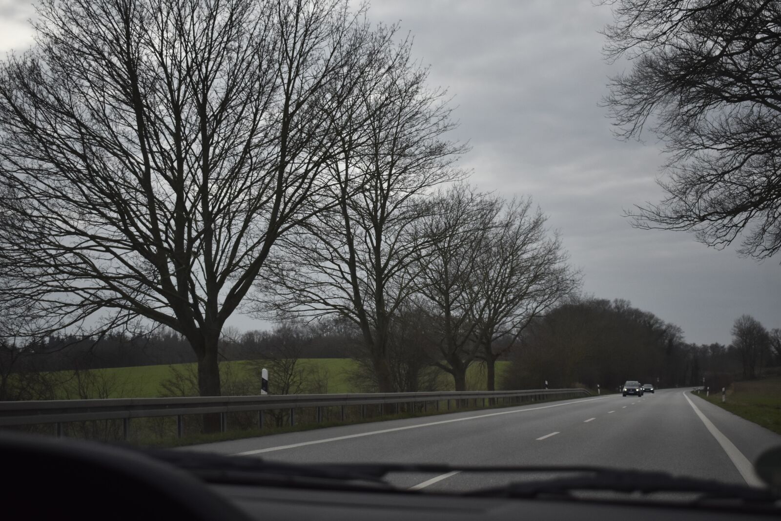 Nikon D3400 sample photo. Trees, cloud, gray photography