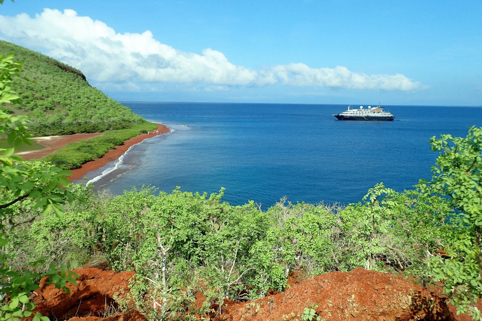 Olympus TG-4 sample photo. Galapagos, r bida, galapagos photography