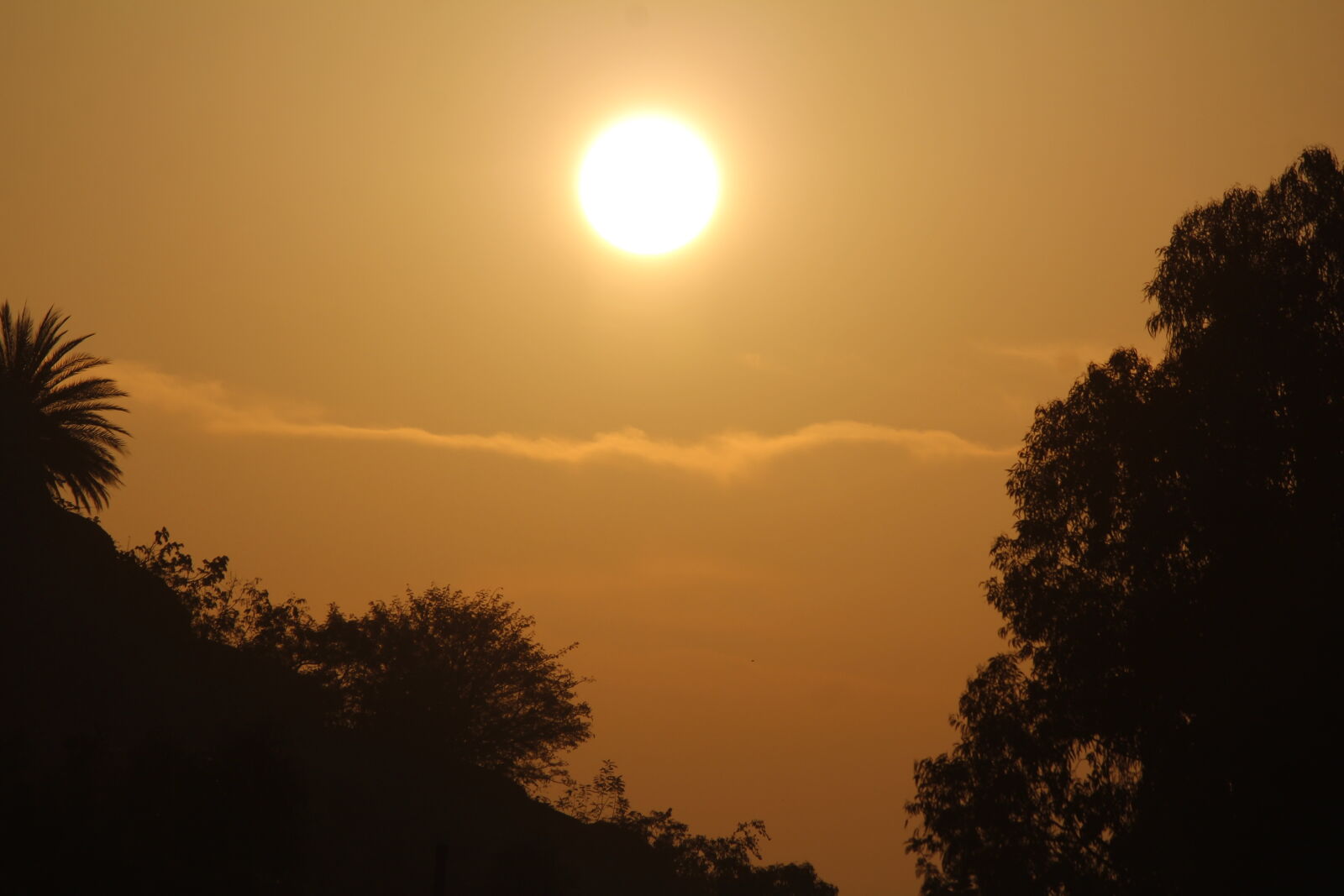 Canon EOS 1200D (EOS Rebel T5 / EOS Kiss X70 / EOS Hi) sample photo. Sunrise, between, trees, india photography