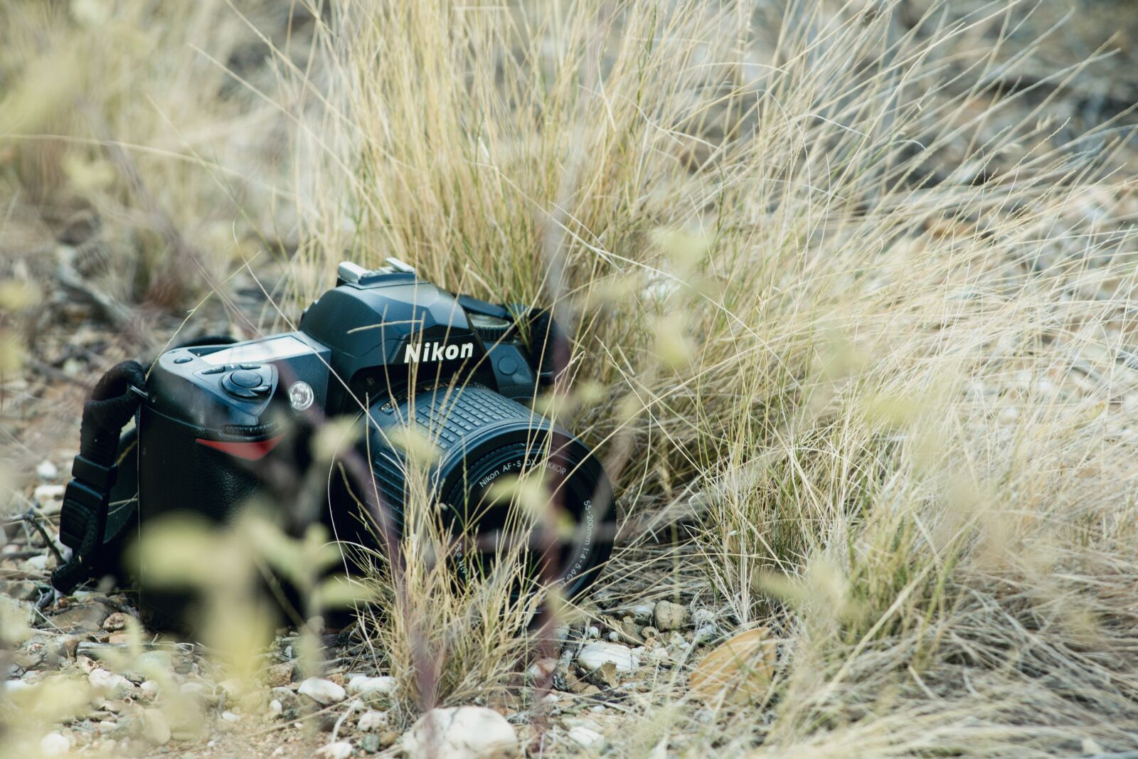 Nikon D3200 sample photo. Camera, lens, digital photography
