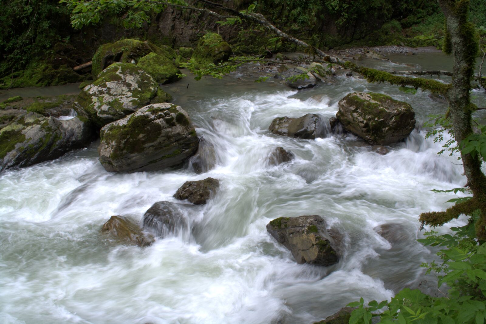 Nikon D5200 sample photo. Broad brook clammy, allg photography