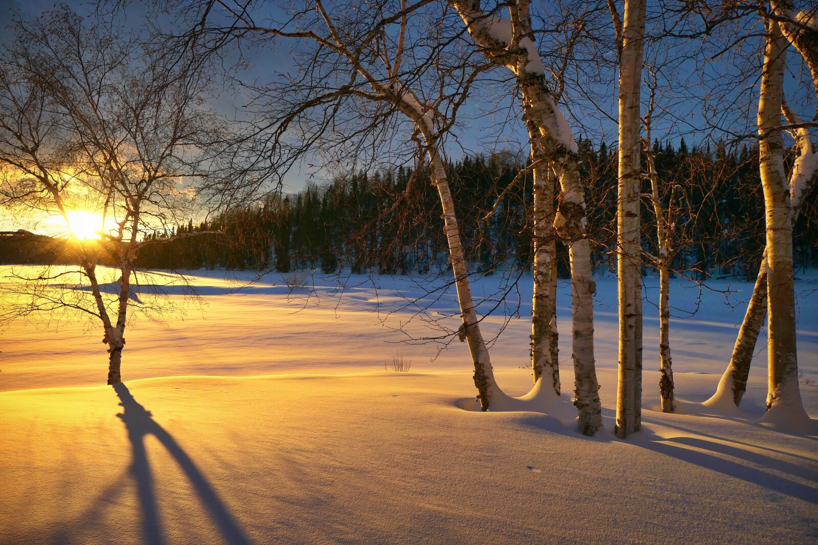 Panasonic DC-ZS200 sample photo. Sunset, landscape, nature photography