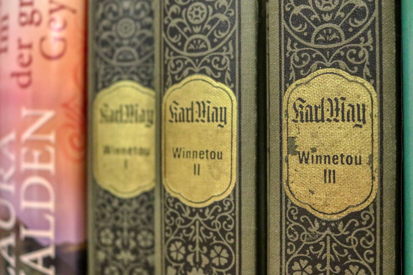 Canon EOS 80D sample photo. Winnetou, books, bookworm photography