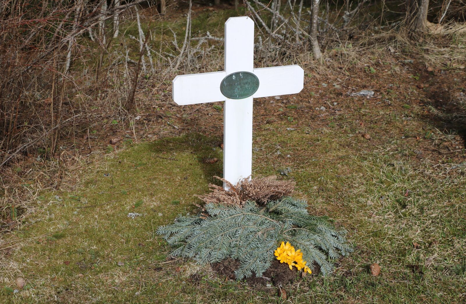 Canon EOS 750D (EOS Rebel T6i / EOS Kiss X8i) sample photo. Cemetery, nature, cross photography
