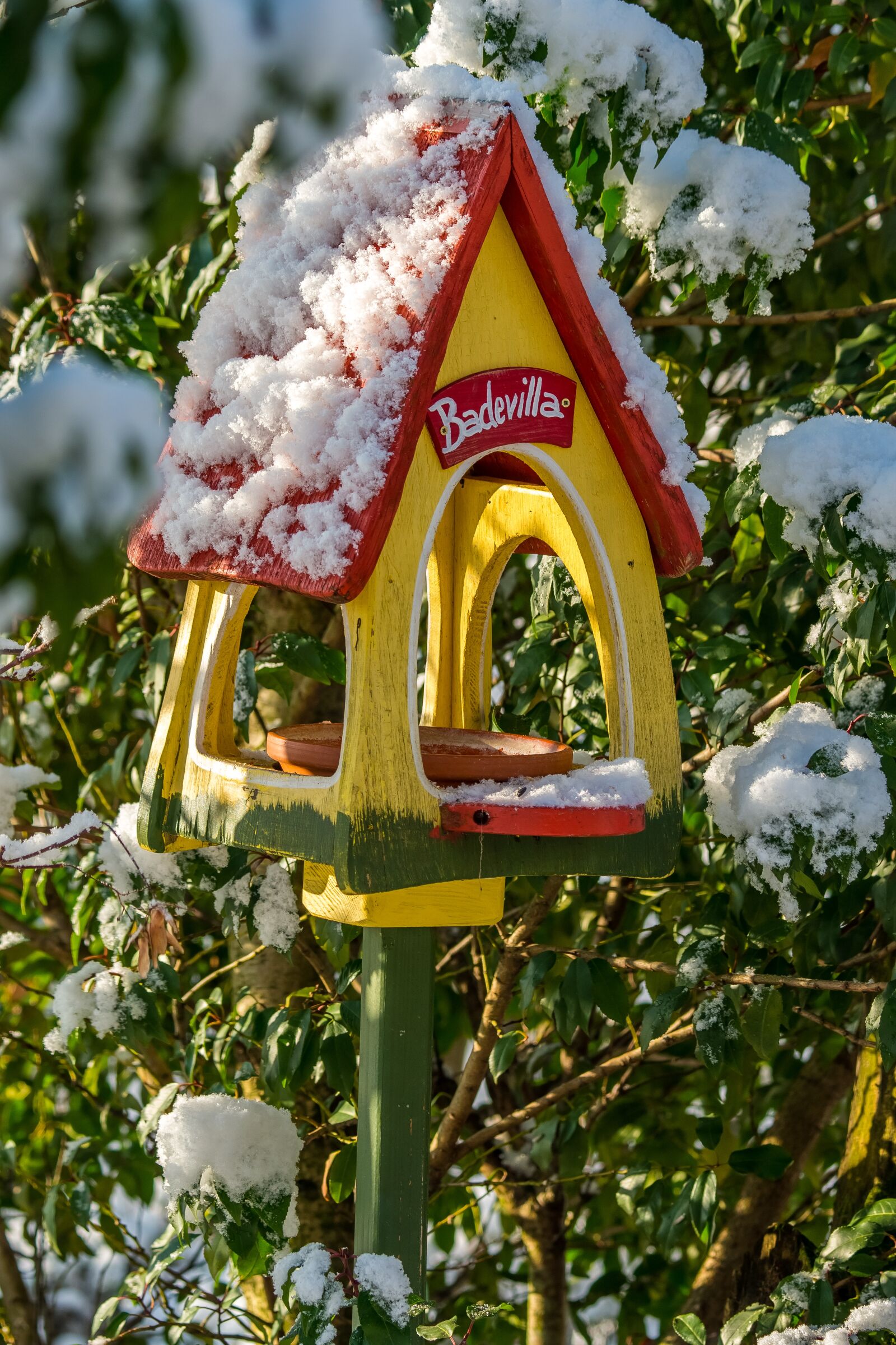 Nikon D800E sample photo. Winter, bird, snow photography
