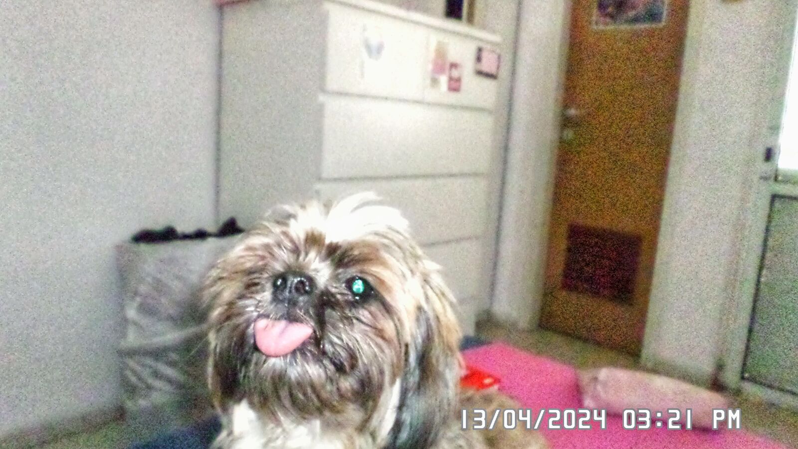 Samsung ST150F/ST151F/ST152F sample photo