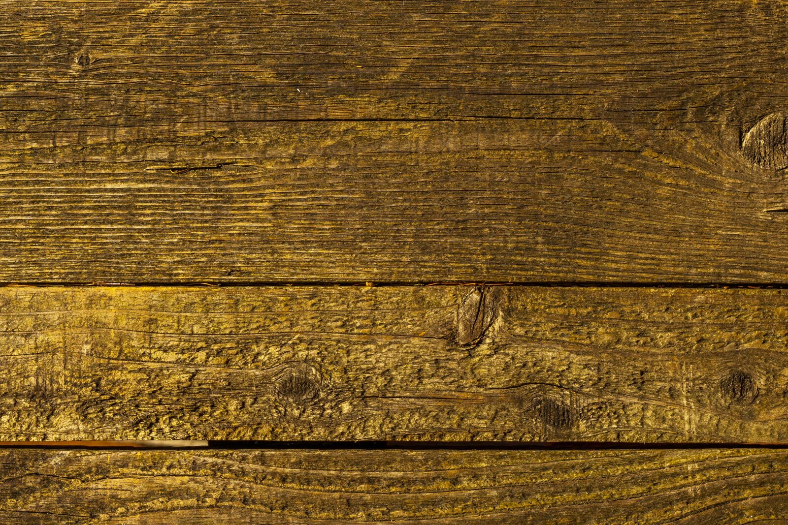 Sony a7 II + Sony DT 50mm F1.8 SAM sample photo. Texture, wood, wall photography