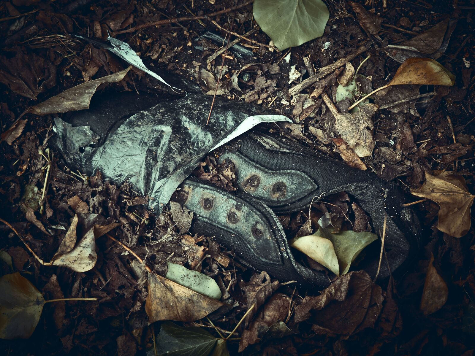 Olympus OM-D E-M10 sample photo. Shoe, old, old shoes photography