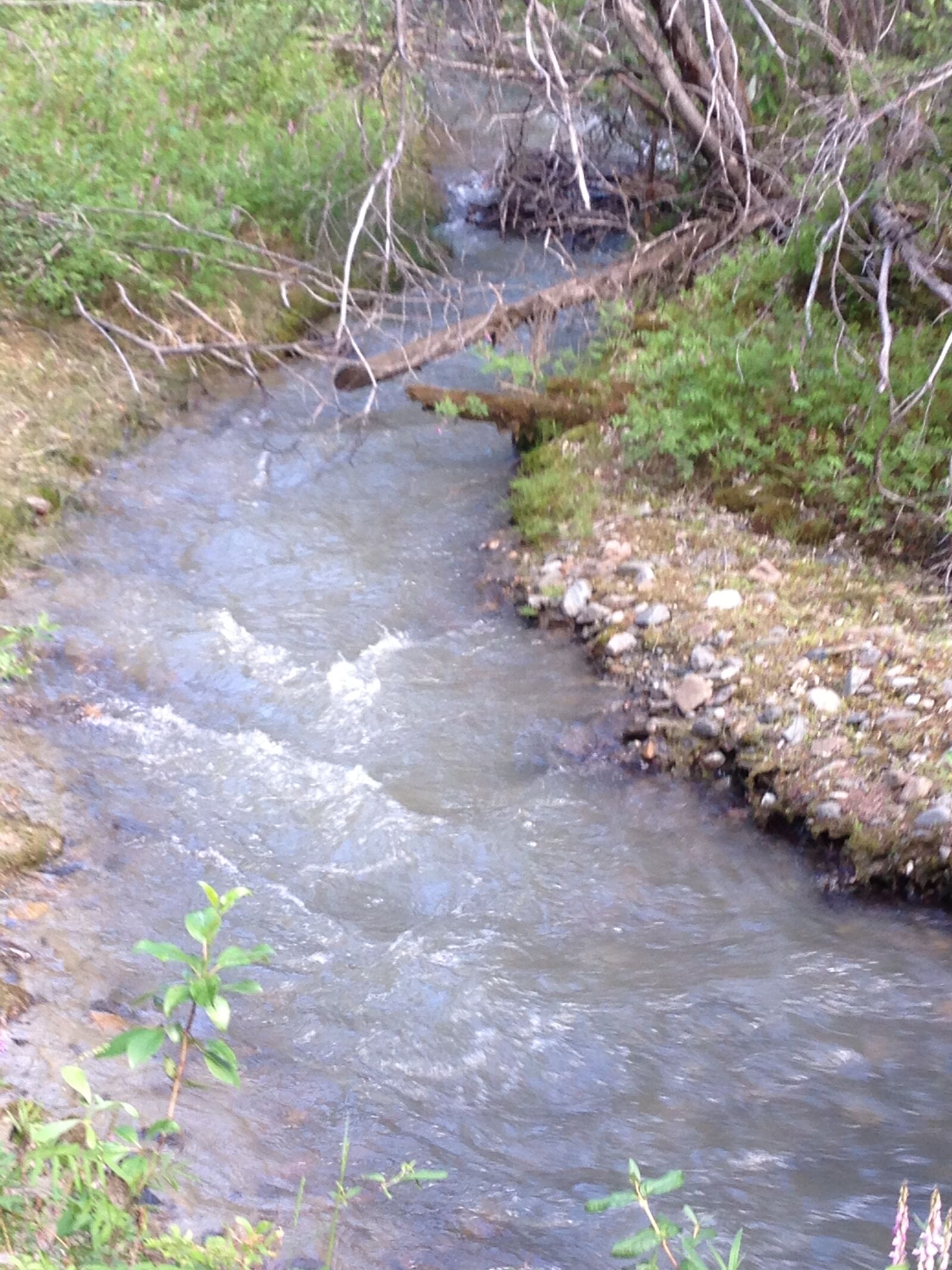 Apple iPhone 5 sample photo. Brook, creek, flow, mountain photography