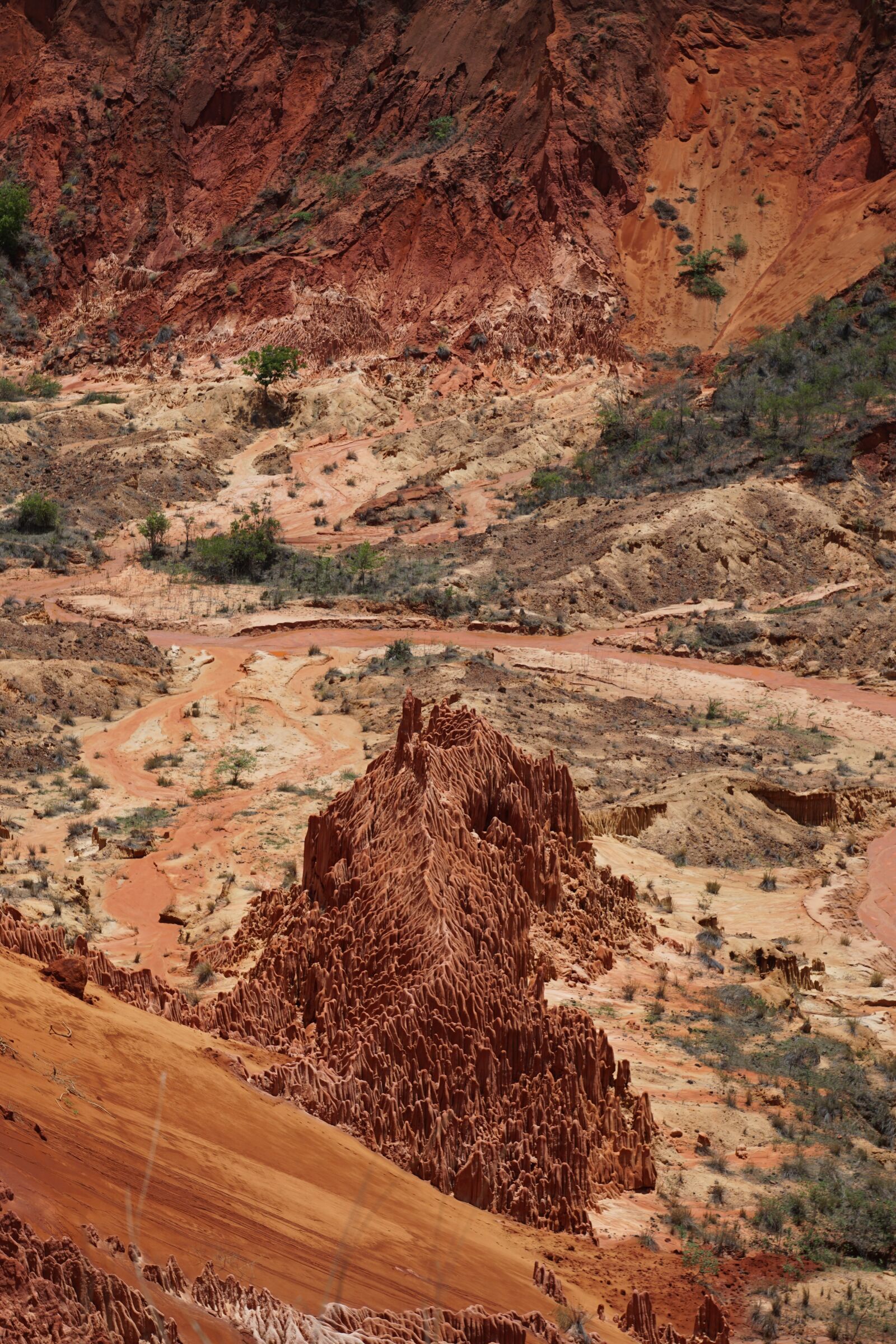 Sony ILCA-77M2 + Sony DT 16-50mm F2.8 SSM sample photo. Park, madagascar, tsingy rouge photography