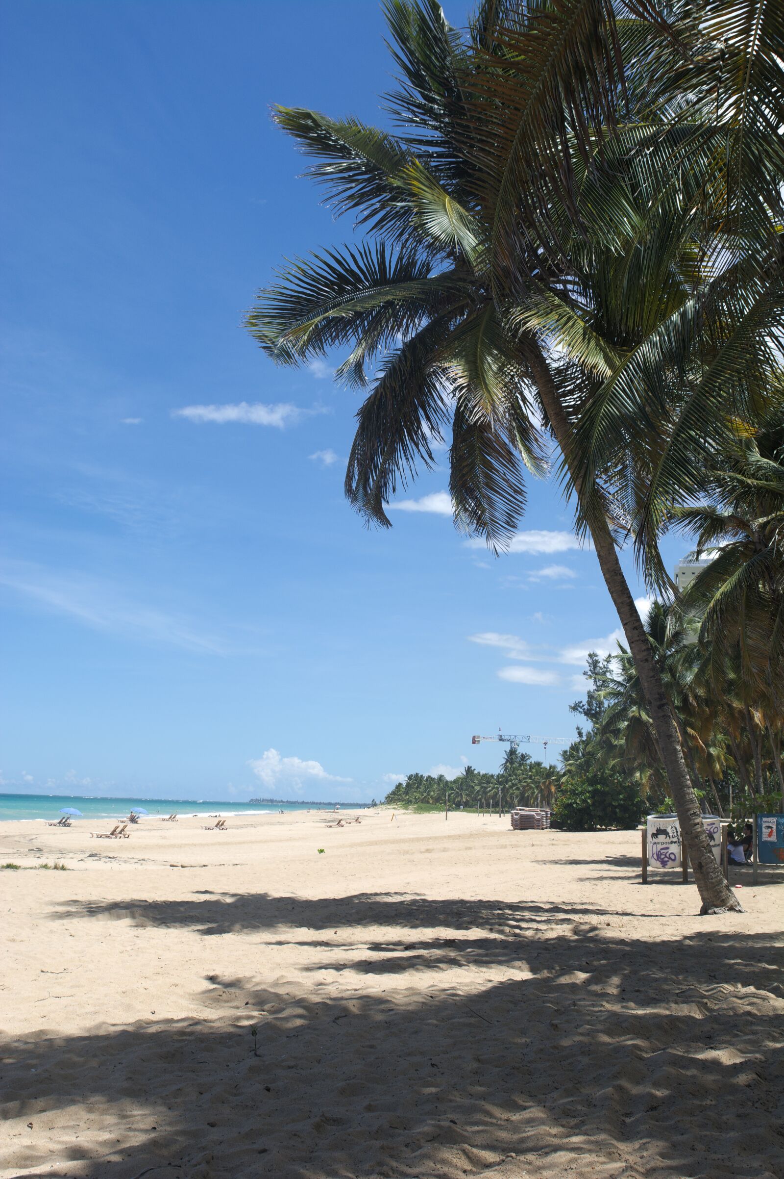 Nikon D7100 sample photo. Palm tree, beach, island photography