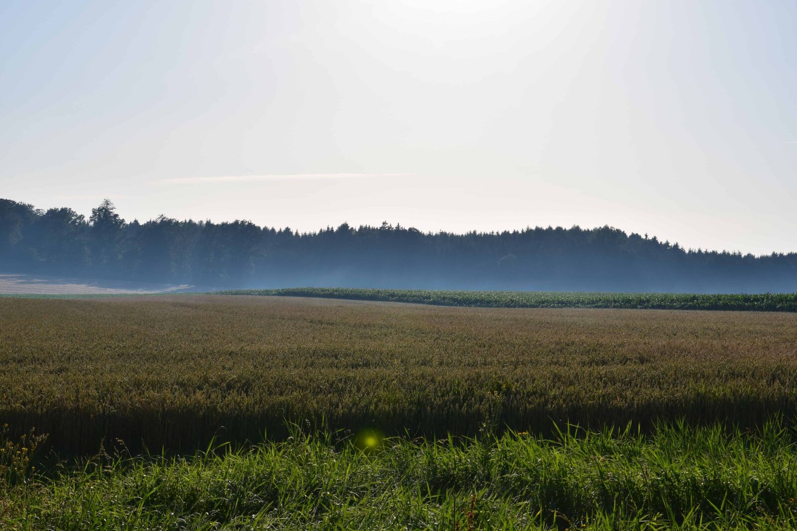 Nikon D3300 sample photo. Field, landscape, sky, soy photography