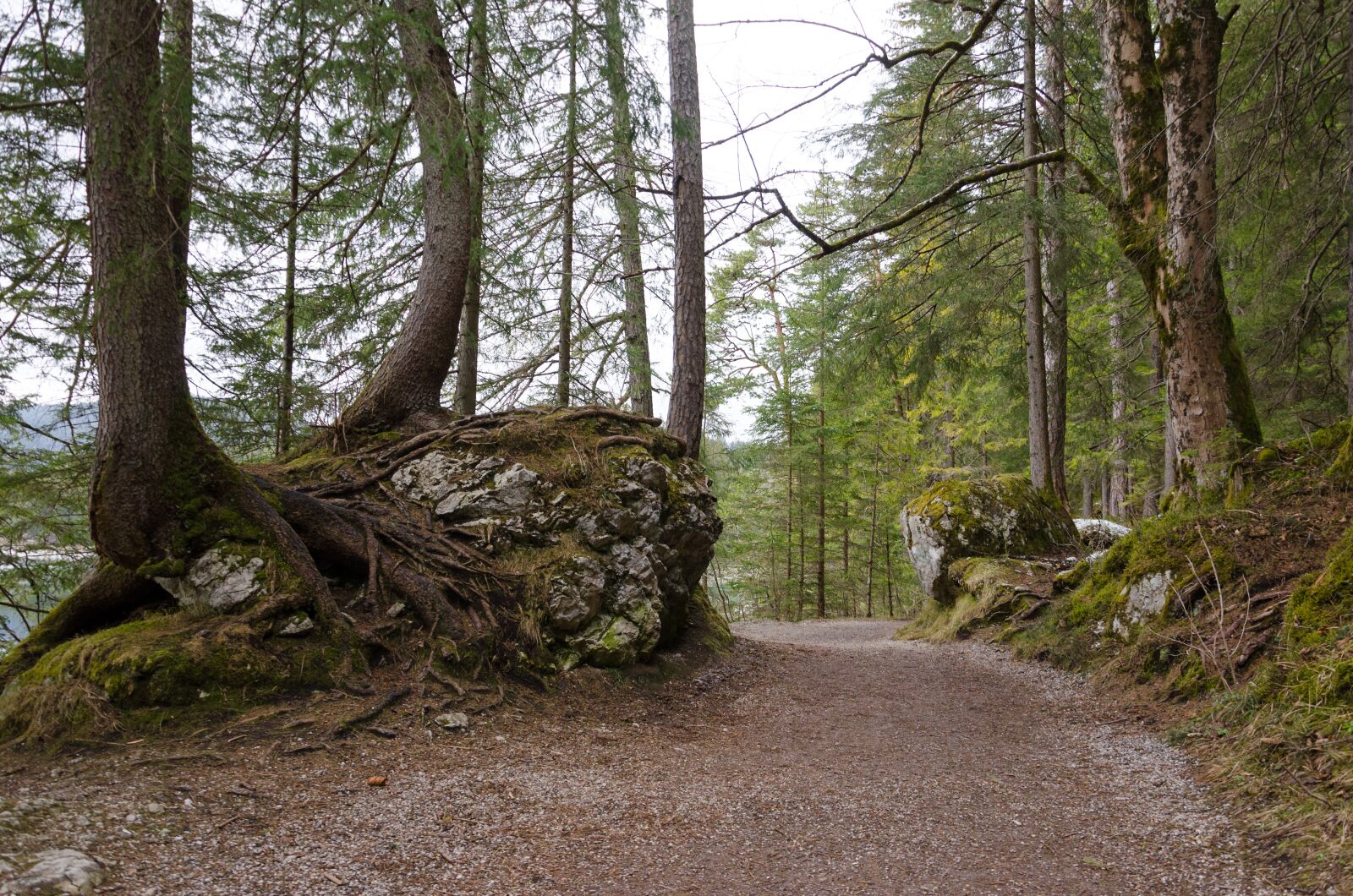 Nikon D5100 sample photo. Eibsee, hiking, forest photography