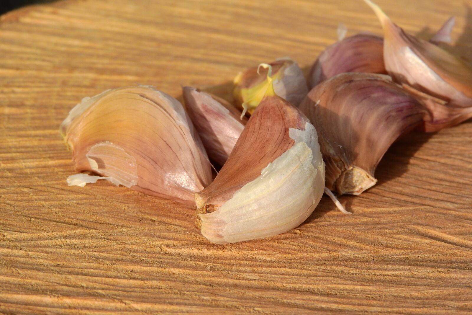 Nikon Coolpix P610 sample photo. A clove of garlic photography