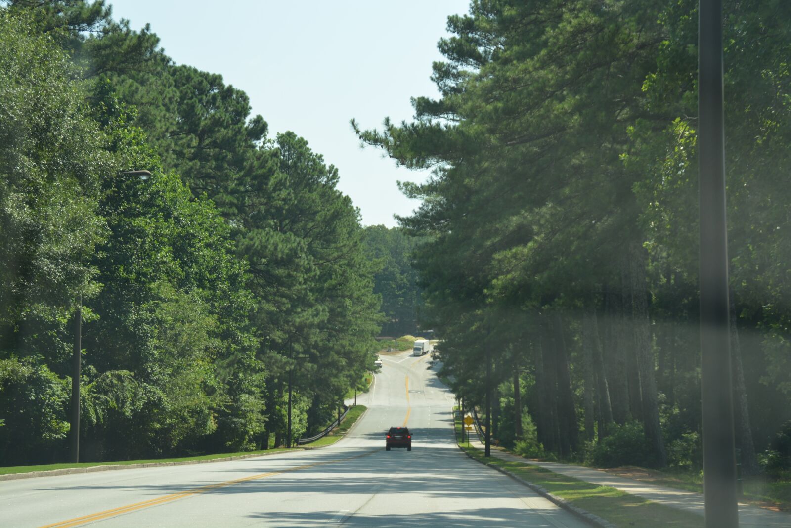 Nikon D7100 sample photo. Tree, road, nature photography