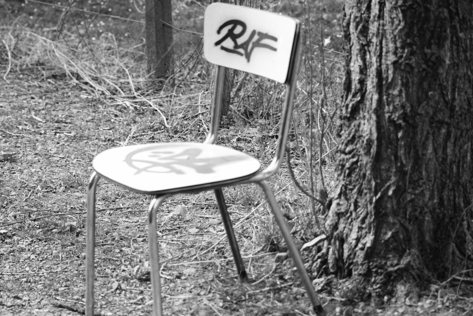 Canon EOS 550D (EOS Rebel T2i / EOS Kiss X4) sample photo. Chair, grafiti, tree photography