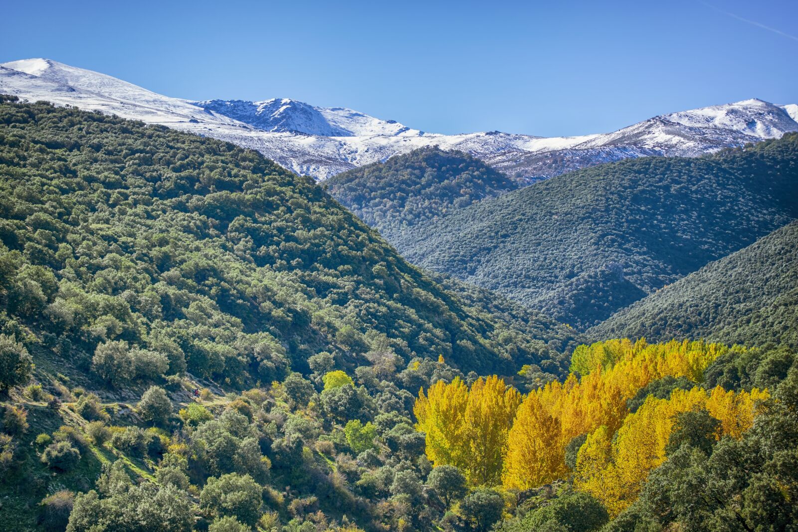 Nikon D3300 sample photo. Landscape, mountains, snow photography