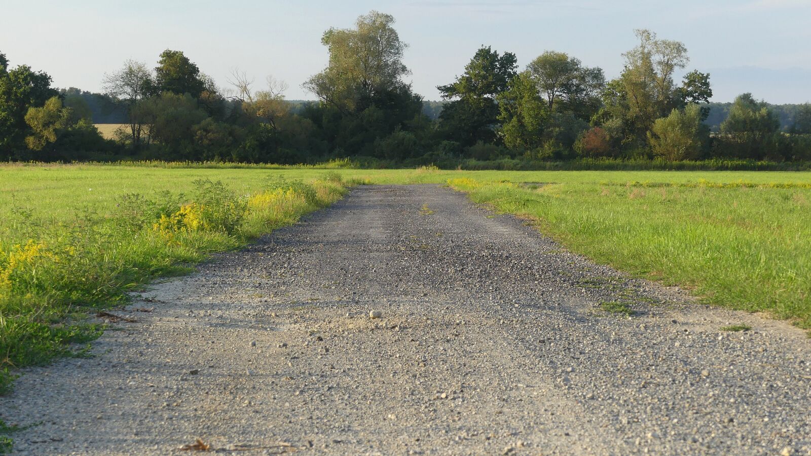 Panasonic Lumix DMC-FZ300 sample photo. Away, lane, trail photography