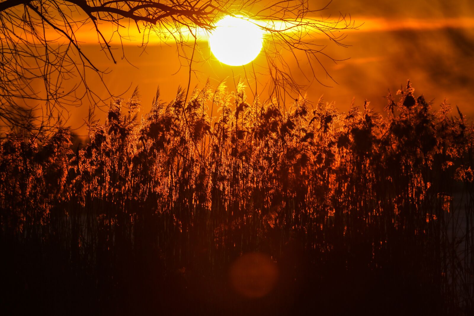 Canon EF 100-400mm F4.5-5.6L IS USM sample photo. Evening, light, sunset photography