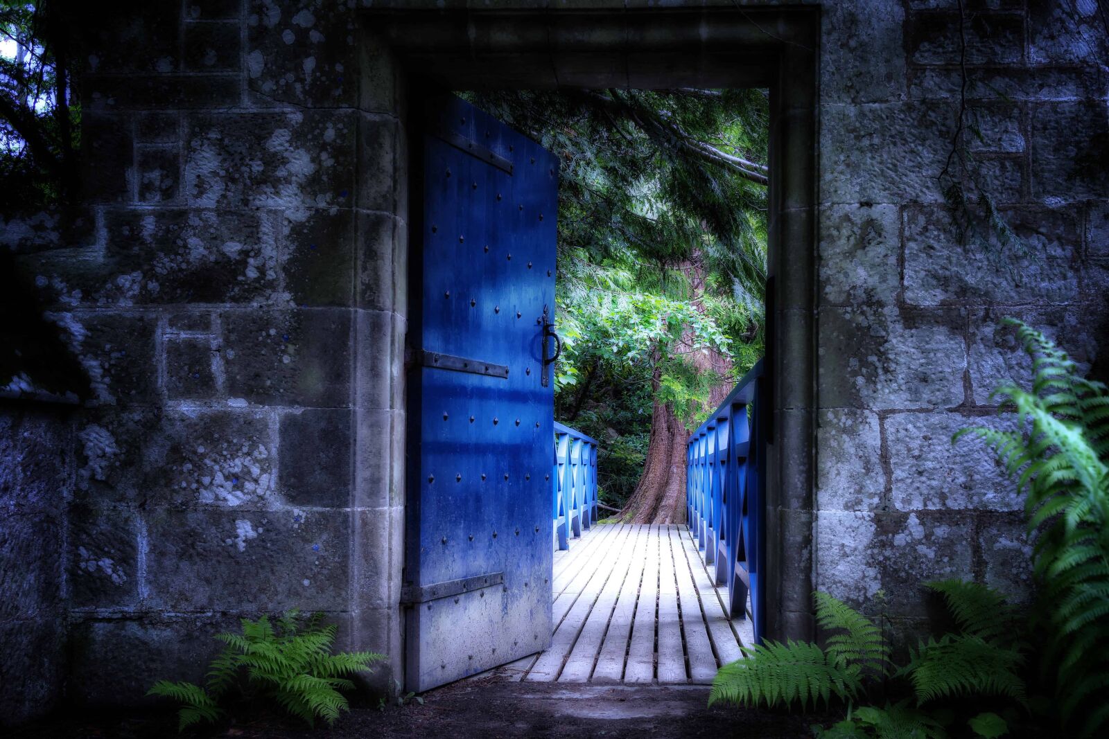 Nikon D3300 sample photo. Wood, outdoor, door, wall photography
