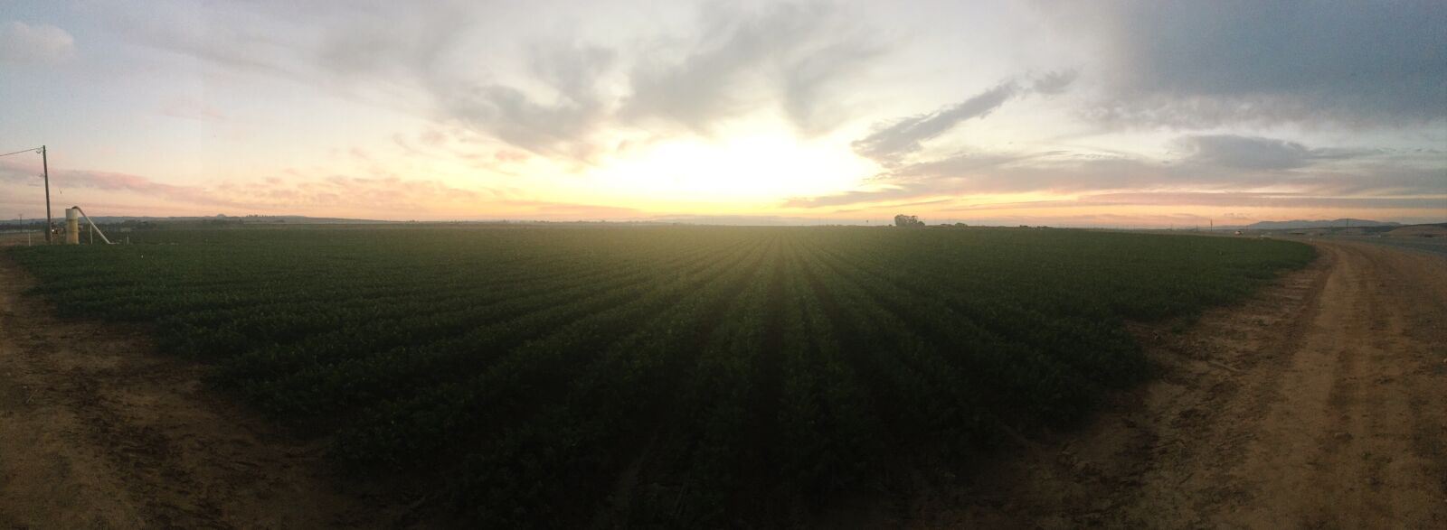 Apple iPhone 6s sample photo. Field, green, sunrise, sunset photography