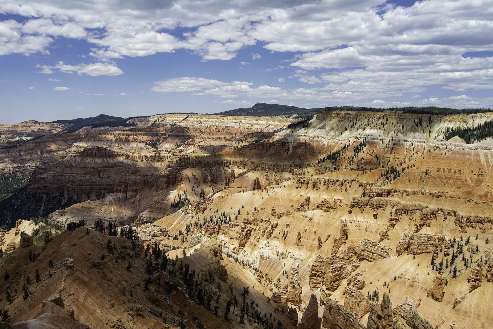 Nikon D5200 sample photo. Cedar breaks, hoodoos, utah photography