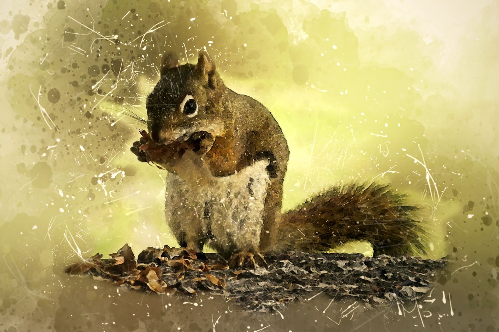 Panasonic Lumix DMC-FZ100 sample photo. Squirrel, animal, mammal photography