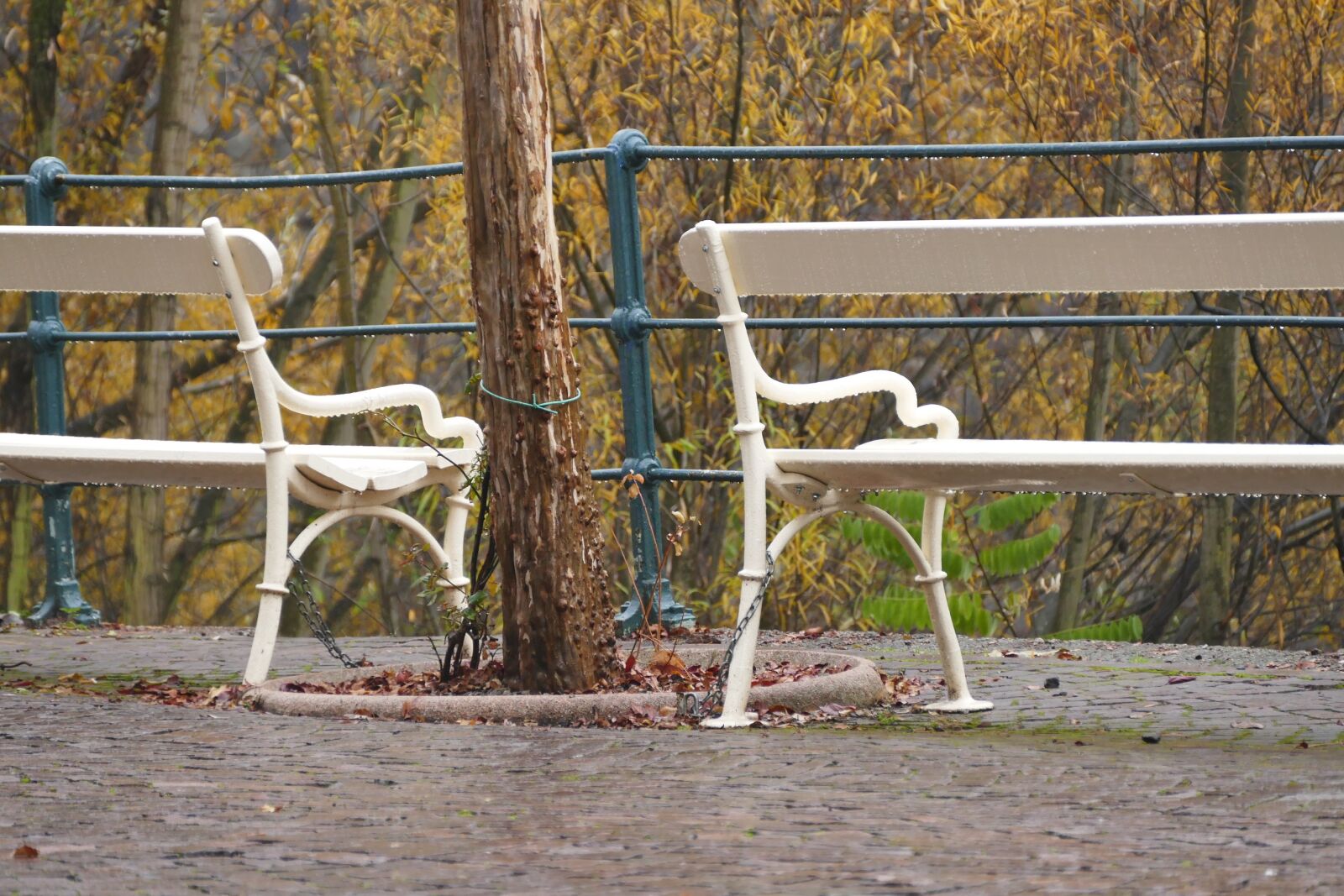 Panasonic Lumix DMC-FZ1000 sample photo. Autumn, rest, bank photography