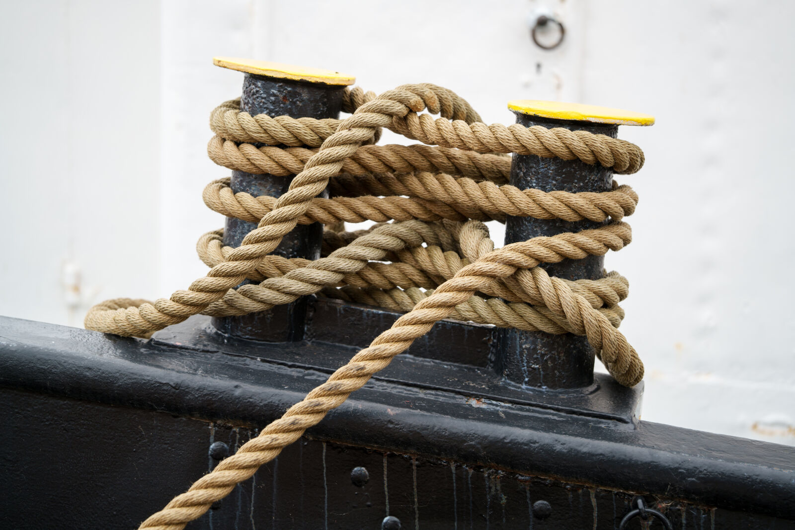 Sony a7R V sample photo. Harbor rope photography