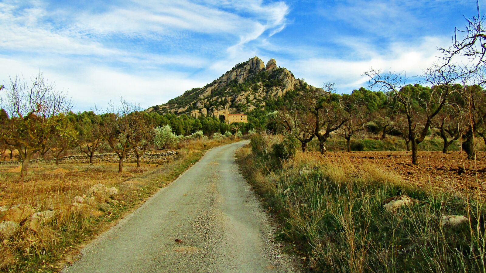 Hill area