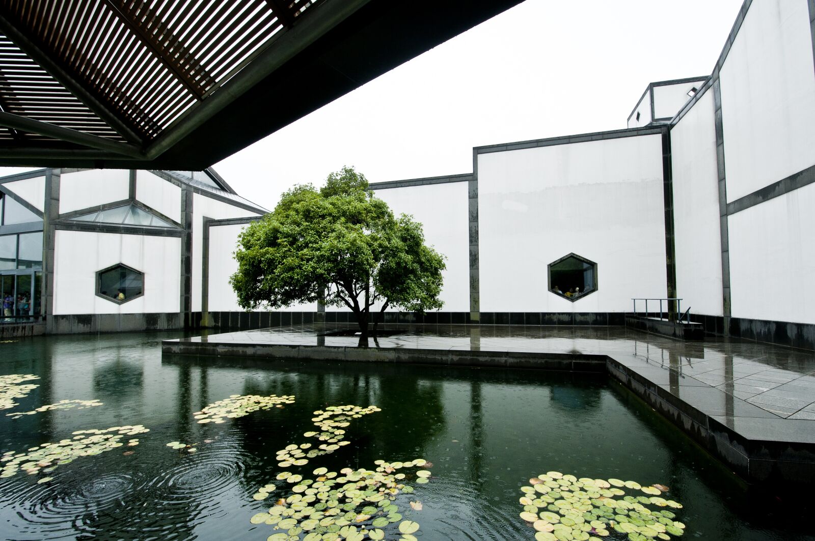 Nikon D300S sample photo. Suzhou museum, pool, rain photography
