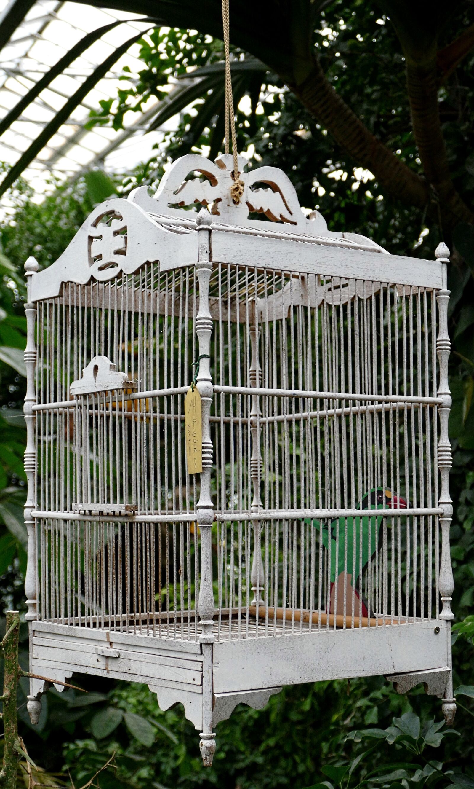Panasonic Lumix DMC-FZ1000 sample photo. Cage, boxed, bars photography