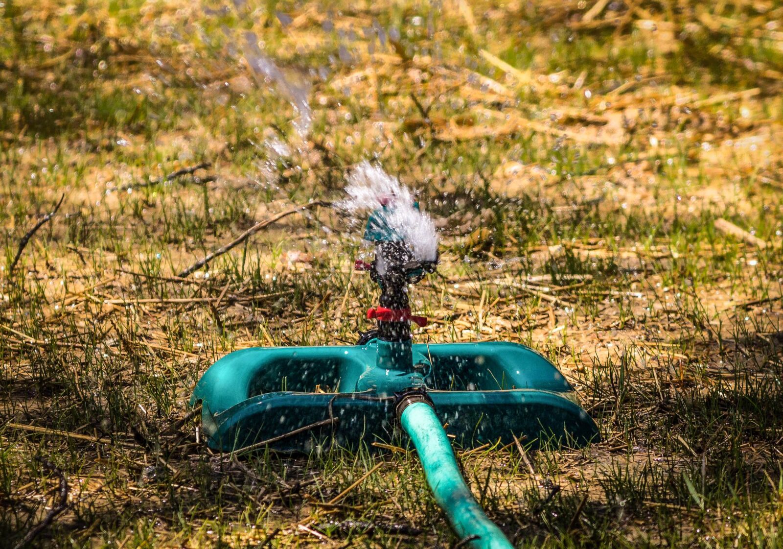 Canon EOS 600D (Rebel EOS T3i / EOS Kiss X5) sample photo. Lawn sprinkler, impact sprinkler photography
