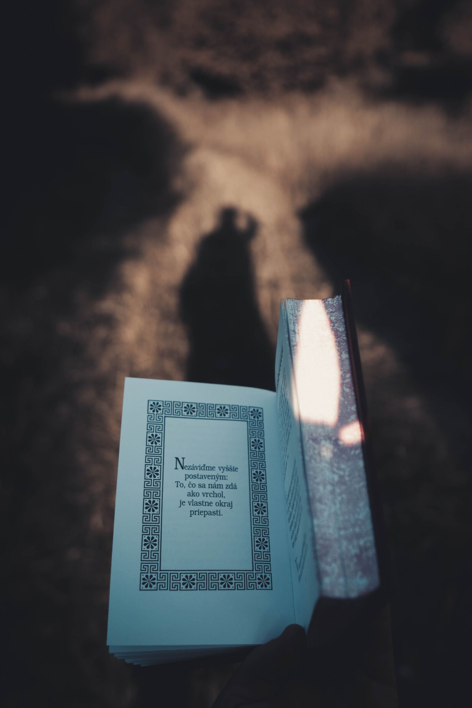 Sony a6400 + Sigma 16mm F1.4 DC DN | C sample photo. Stocizmus, philosophy, book photography