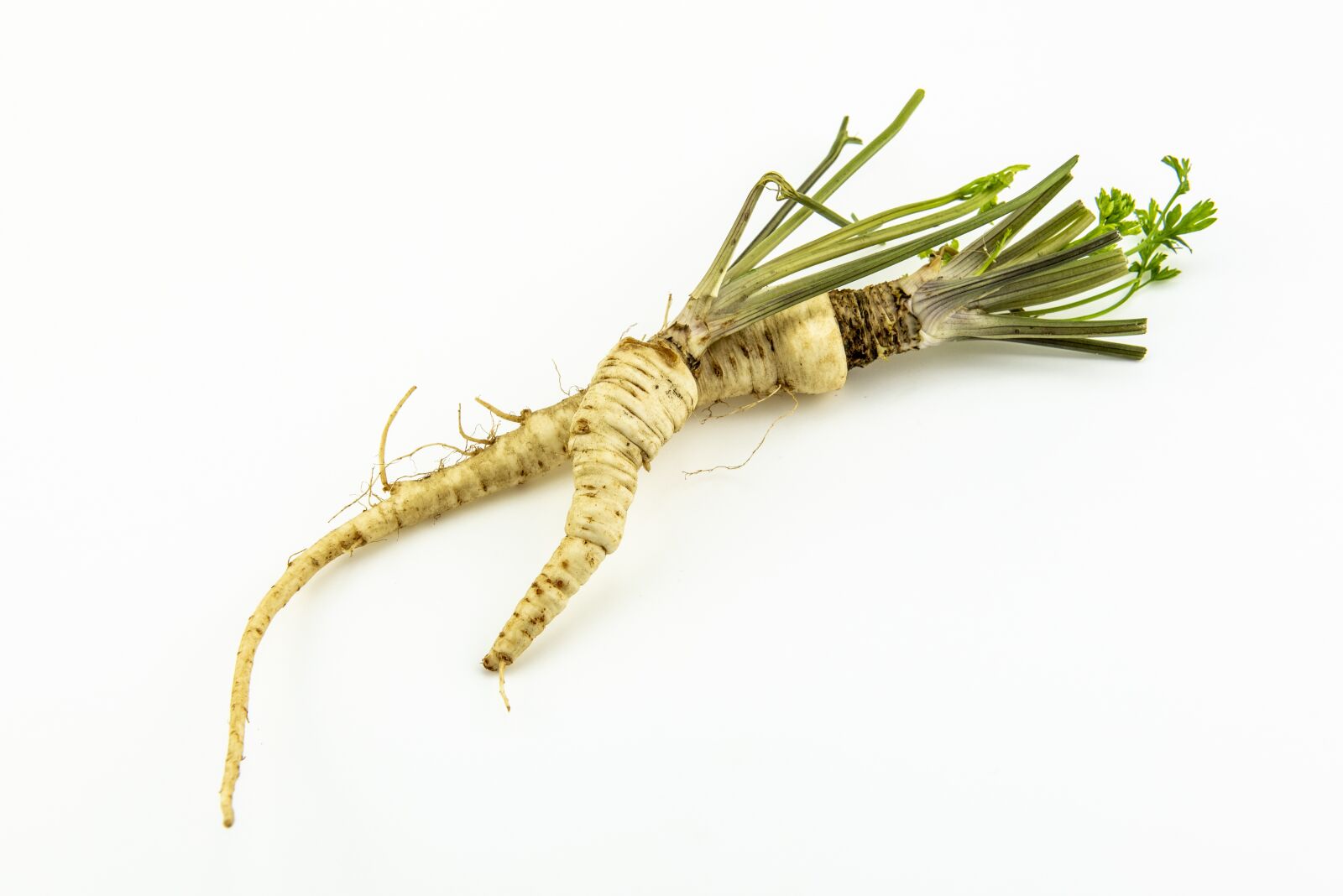Nikon D750 sample photo. Parsley, root, food photography